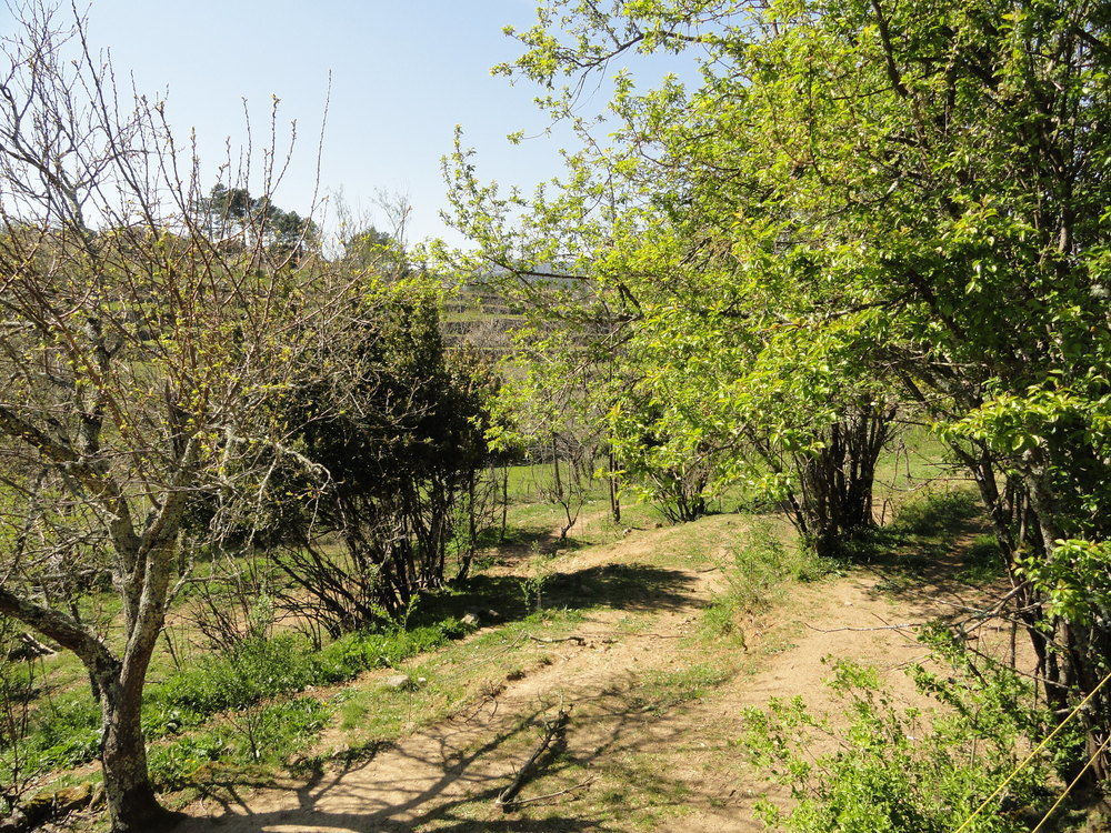 Chambre D'Hotes Au Creux Du Chambon Joyeuse Zewnętrze zdjęcie
