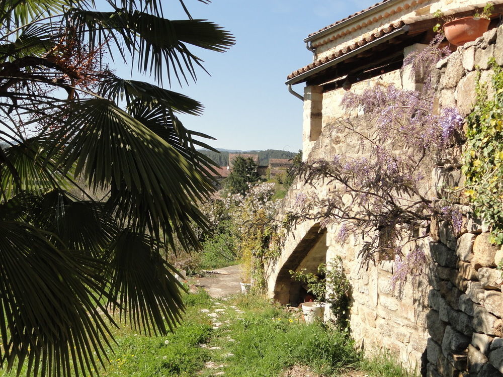 Chambre D'Hotes Au Creux Du Chambon Joyeuse Zewnętrze zdjęcie