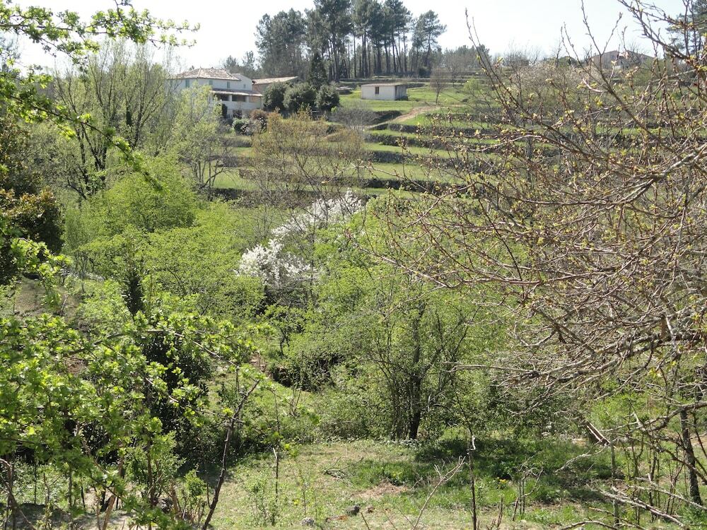 Chambre D'Hotes Au Creux Du Chambon Joyeuse Zewnętrze zdjęcie